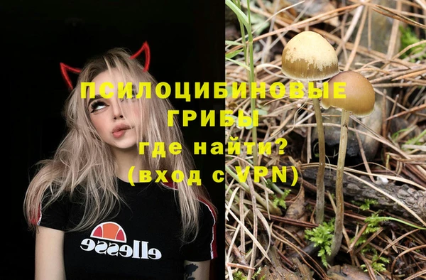ALPHA PVP Верхнеуральск